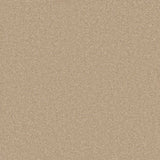 Warm beige carpet with a soft, even texture in a cozy living room setting | Home Centre Direct UK