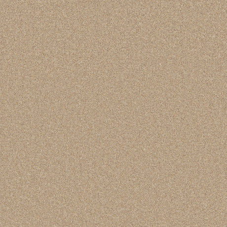 Warm beige carpet with a soft, even texture in a cozy living room setting | Home Centre Direct UK