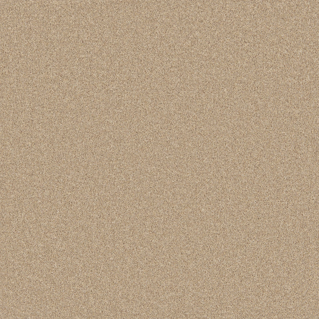 Warm beige carpet with a soft, even texture in a cozy living room setting | Home Centre Direct UK