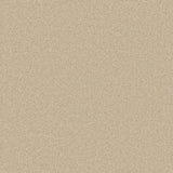 Beige textured carpet with a soft, even pile | Home Centre Direct UK