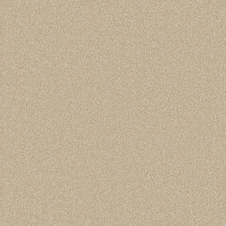 Beige textured carpet with a soft, even pile | Home Centre Direct UK