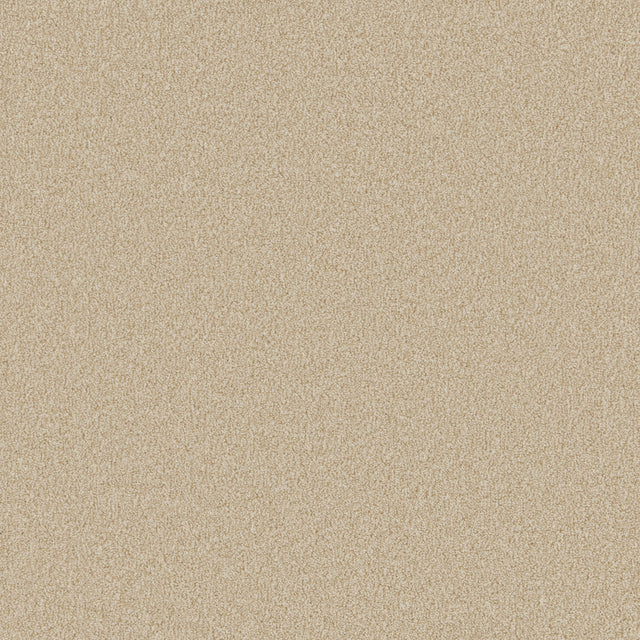 Beige textured carpet with a soft, even pile | Home Centre Direct UK