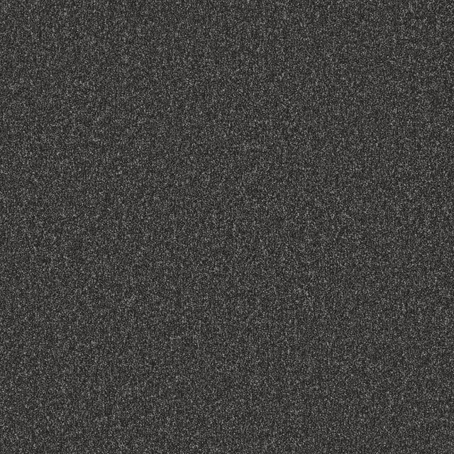Dark grey textured carpet with dense looped pile | Home Centre Direct UK
