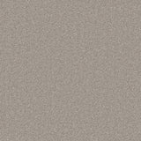 Taupe textured carpet with a soft, dense pile | Home Centre Direct UK