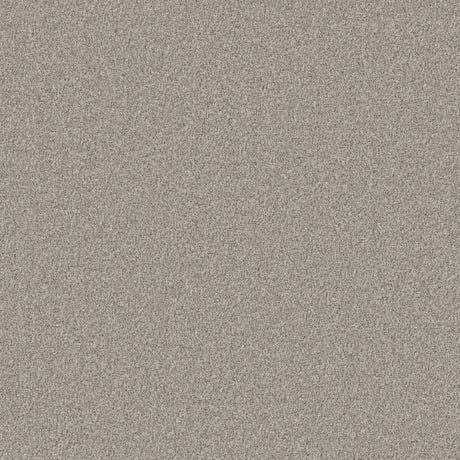Taupe textured carpet with a soft, dense pile | Home Centre Direct UK