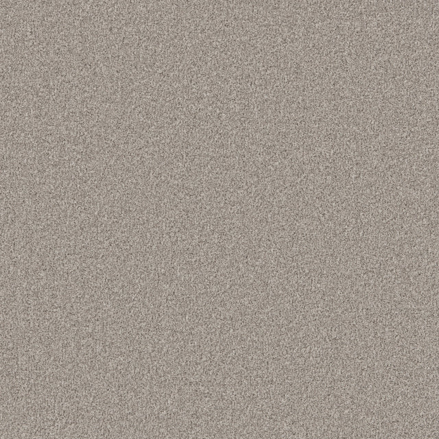 Taupe textured carpet with a soft, dense pile | Home Centre Direct UK