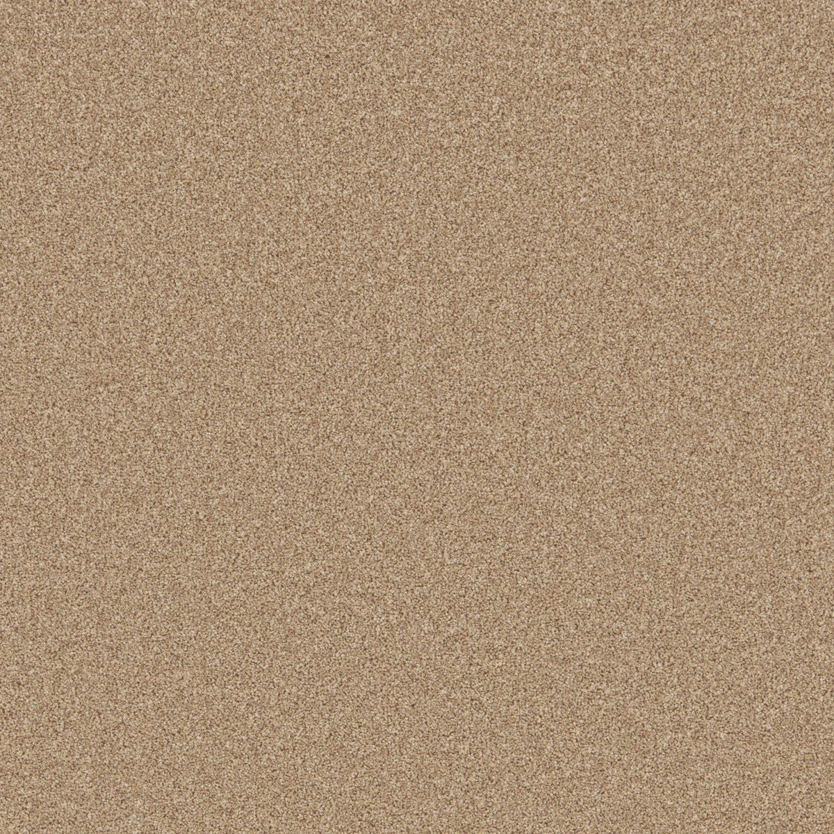 Sandstone beige carpet with fine textured weave | Home Centre Direct UK