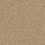 Sandstone beige carpet with fine textured weave | Home Centre Direct UK