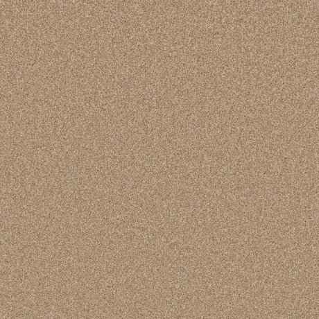 Sandstone beige carpet with fine textured weave | Home Centre Direct UK