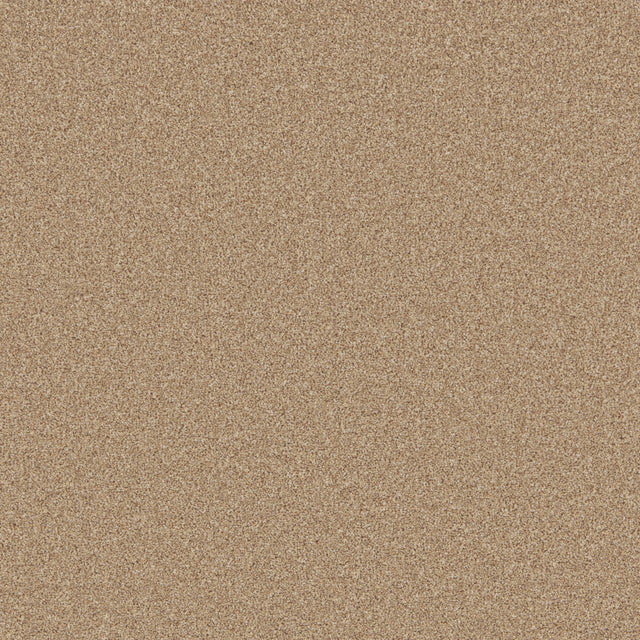 Sandstone beige carpet with fine textured weave | Home Centre Direct UK
