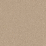 Tan carpet with a soft, even texture in a neutral setting | Home Centre Direct UK