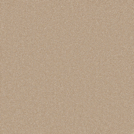 Tan carpet with a soft, even texture in a neutral setting | Home Centre Direct UK