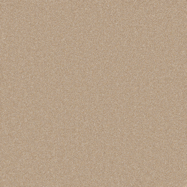 Tan carpet with a soft, even texture in a neutral setting | Home Centre Direct UK