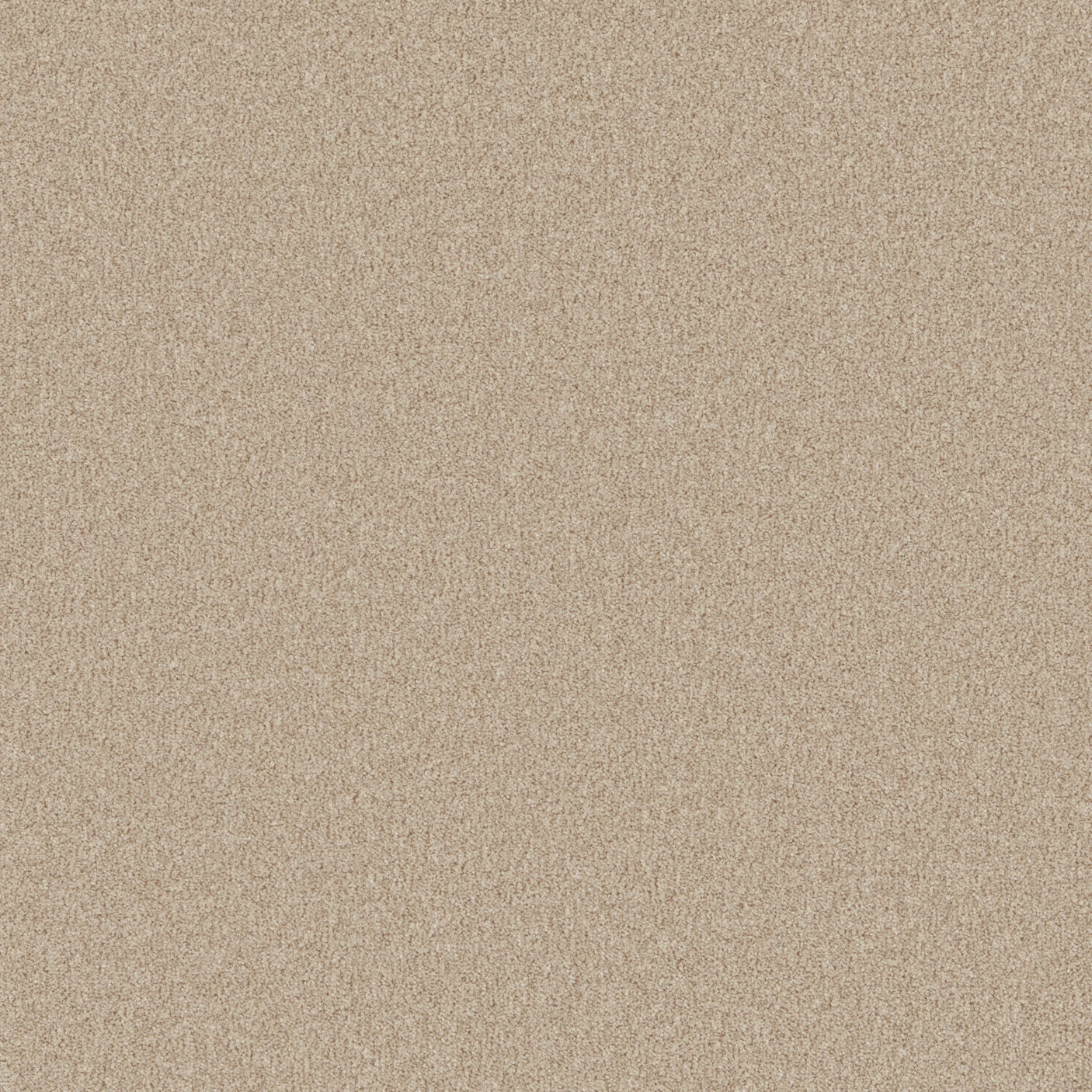 Warm beige carpet with a soft, even texture in a plush finish | Home Centre Direct UK