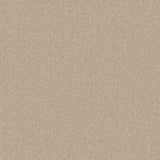 Warm beige carpet with a soft, even texture in a plush finish | Home Centre Direct UK