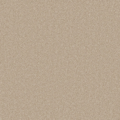 Warm beige carpet with a soft, even texture in a plush finish | Home Centre Direct UK