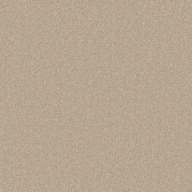 Warm beige carpet with a soft, even texture in a plush finish | Home Centre Direct UK