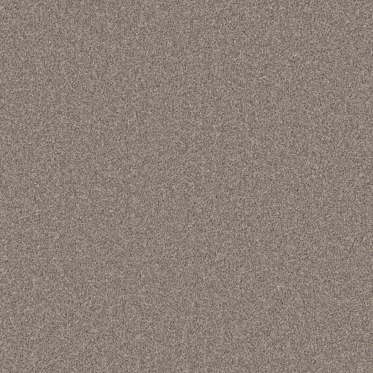 Taupe textured carpet with dense, soft pile | Home Centre Direct UK