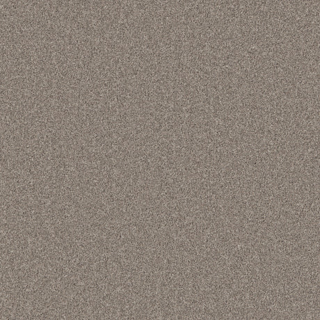 Taupe textured carpet with dense, soft pile | Home Centre Direct UK