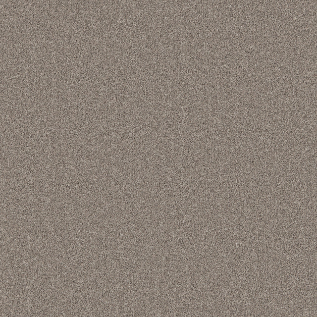 Taupe textured carpet with dense, soft pile | Home Centre Direct UK