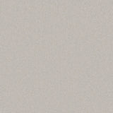 Alloy grey carpet with soft, even texture in a modern living space | Home Centre Direct UK