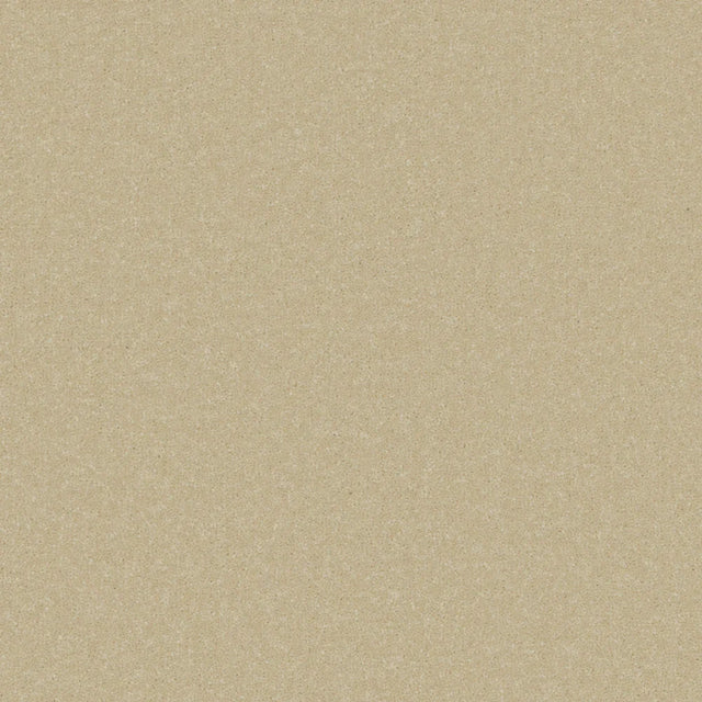 Beige textured carpet with subtle speckled pattern | Home Centre Direct UK