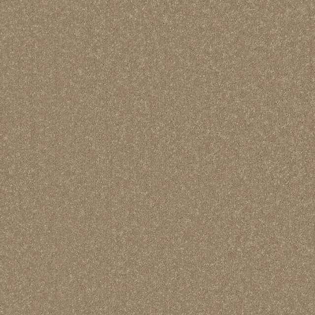 Warm beige chenille carpet with soft, plush texture | Home Centre Direct UK