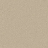 Beige carpet with soft, even texture in a neutral tone | Home Centre Direct UK