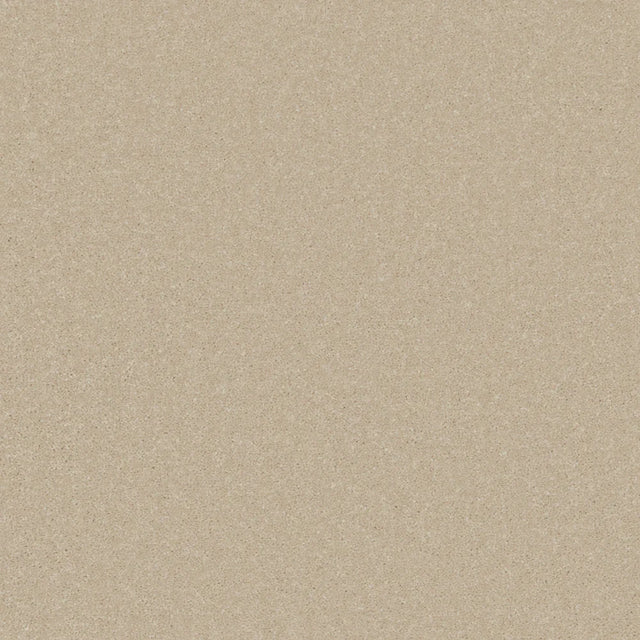 Beige carpet with soft, even texture in a neutral tone | Home Centre Direct UK
