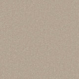 Warm beige carpet with a soft, even texture | Home Centre Direct UK