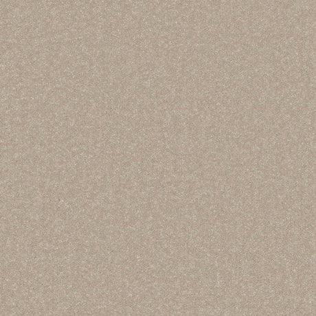 Warm beige carpet with a soft, even texture | Home Centre Direct UK
