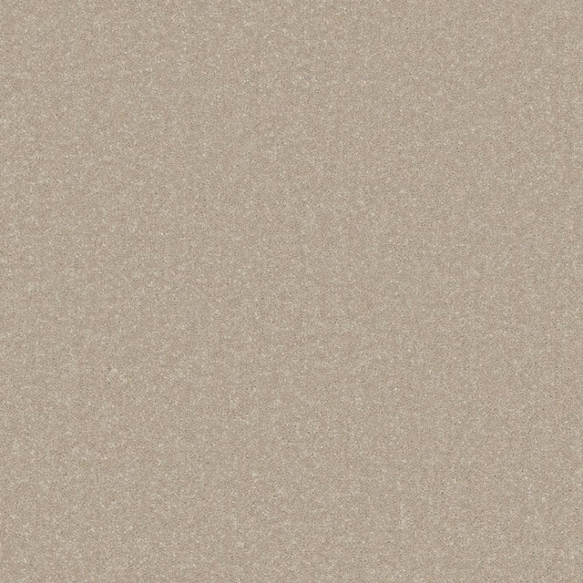 Warm beige carpet with a soft, even texture | Home Centre Direct UK
