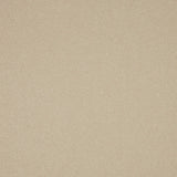 Ecru carpet with smooth, even texture in a neutral tone | Home Centre Direct UK