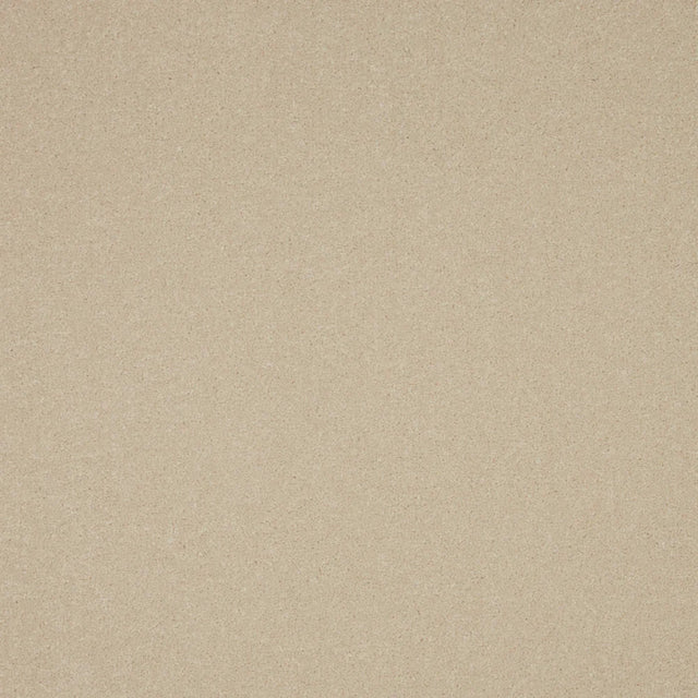 Ecru carpet with smooth, even texture in a neutral tone | Home Centre Direct UK