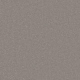 French grey carpet with soft, even texture | Home Centre Direct UK
