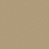 Warm beige carpet with smooth texture in a soft pile finish | Home Centre Direct UK