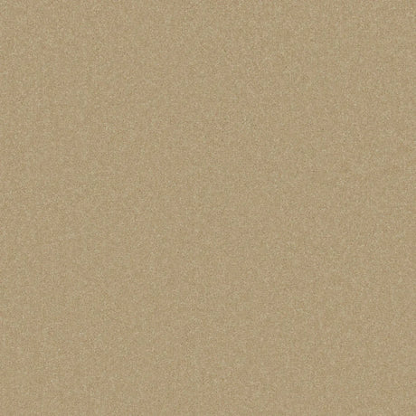 Warm beige carpet with smooth texture in a soft pile finish | Home Centre Direct UK