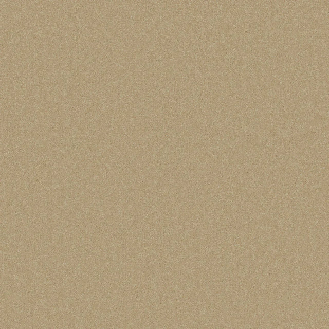 Warm beige carpet with smooth texture in a soft pile finish | Home Centre Direct UK
