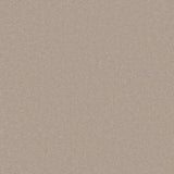 Creamy beige carpet with smooth, even texture | Home Centre Direct UK
