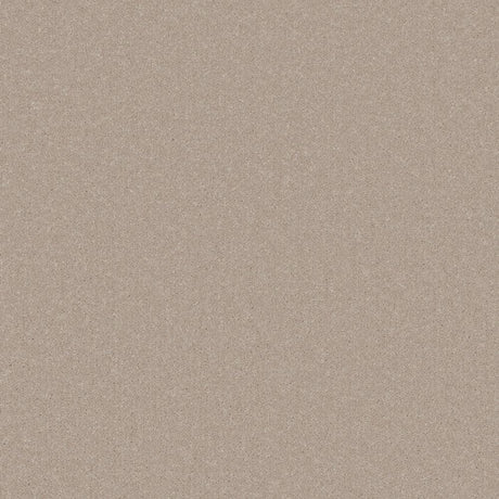 Creamy beige carpet with smooth, even texture | Home Centre Direct UK