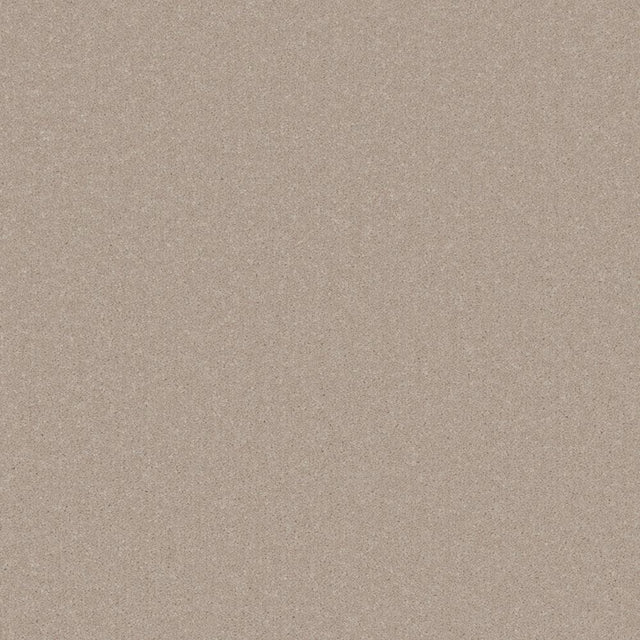 Creamy beige carpet with smooth, even texture | Home Centre Direct UK