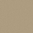 Beige putty carpet with a soft, even texture | Home Centre Direct UK