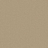 Beige putty carpet with a soft, even texture | Home Centre Direct UK