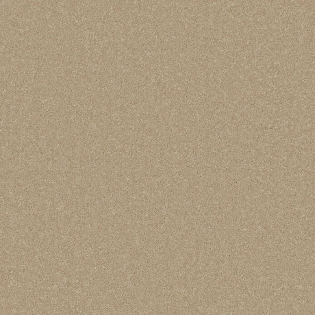 Beige putty carpet with a soft, even texture | Home Centre Direct UK