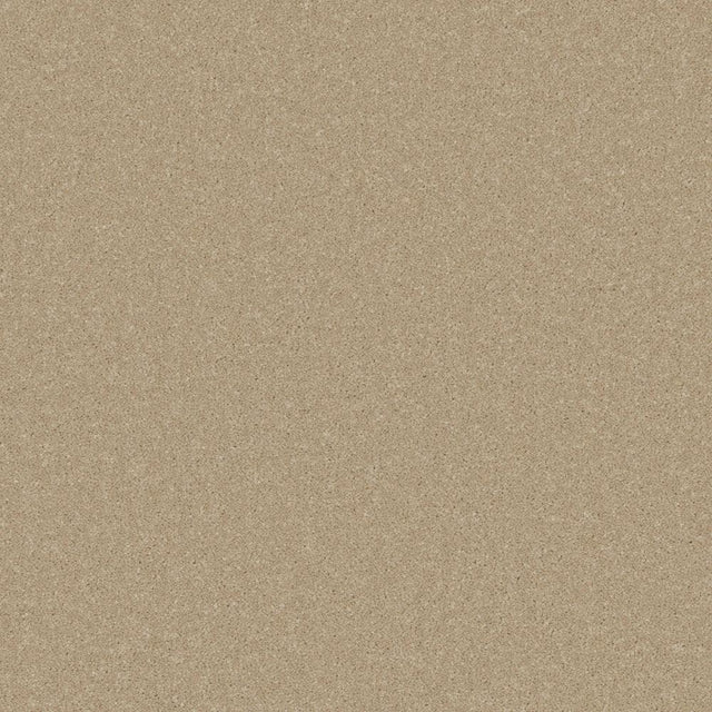 Beige putty carpet with a soft, even texture | Home Centre Direct UK