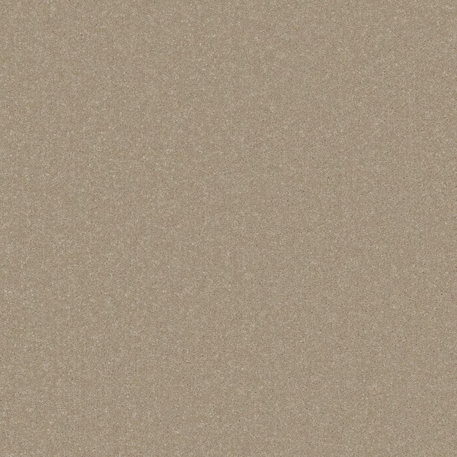 Beige resin carpet with fine speckled texture | Home Centre Direct UK