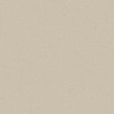 Cream plush carpet with soft, even texture in a cozy living room setting | Home Centre Direct UK