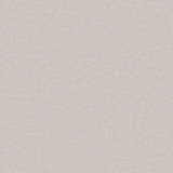Light grey carpet with a soft, even texture in a smooth finish | Home Centre Direct UK