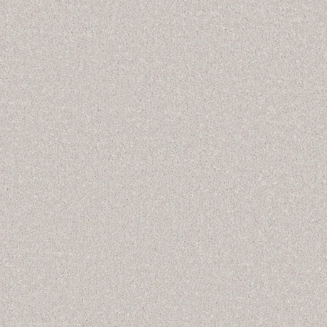 Light grey carpet with a soft, even texture in a smooth finish | Home Centre Direct UK