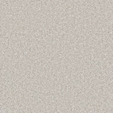 Light grey carpet with dense, soft pile texture | Home Centre Direct UK